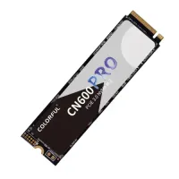 

                                    Colorful CN600 PRO 256GB M.2 NVMe SSD